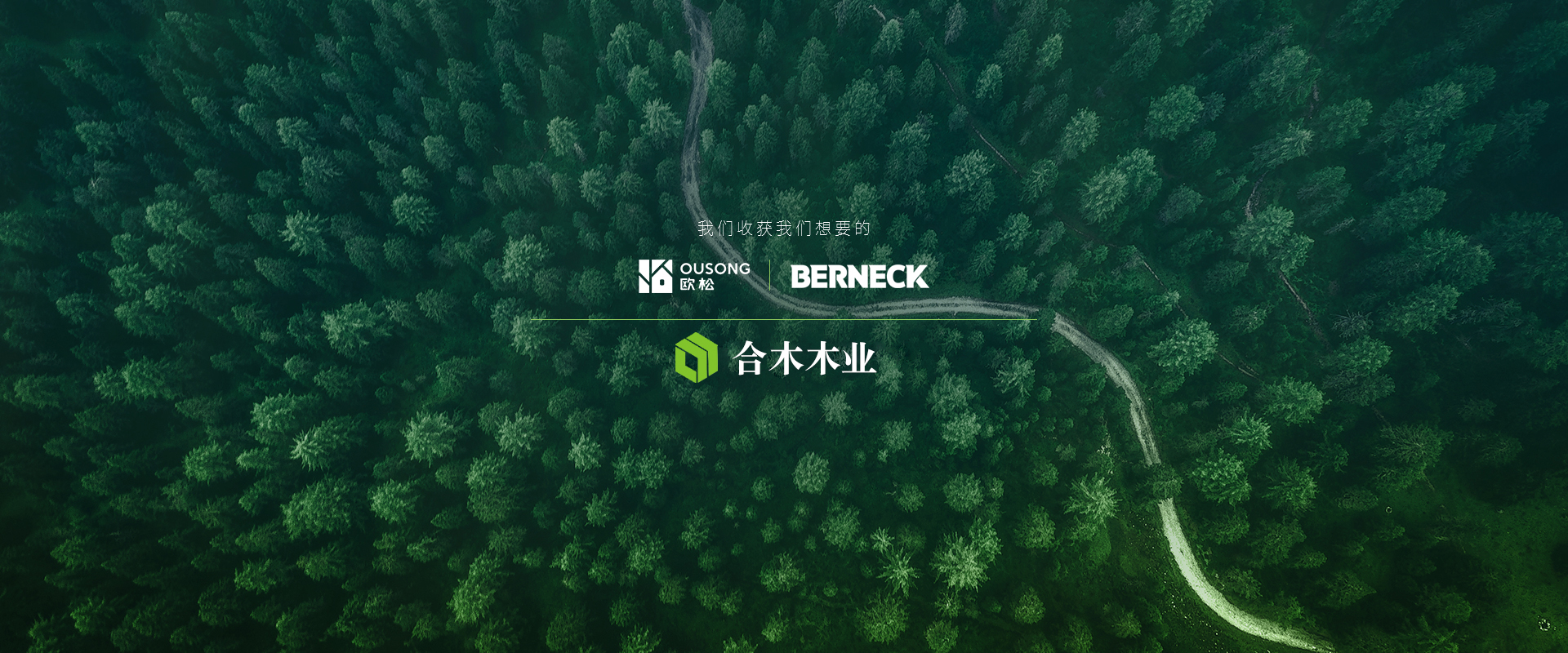 博耐克歐松板
